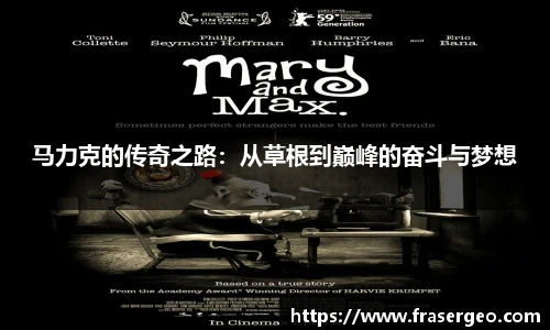 3377体育官网